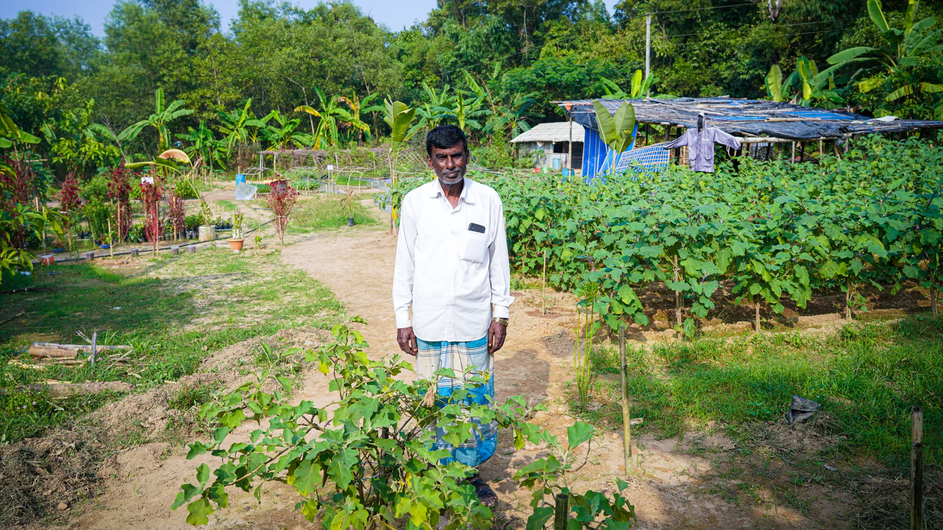 A Nursery Initiates Resilience And Social Cohesion