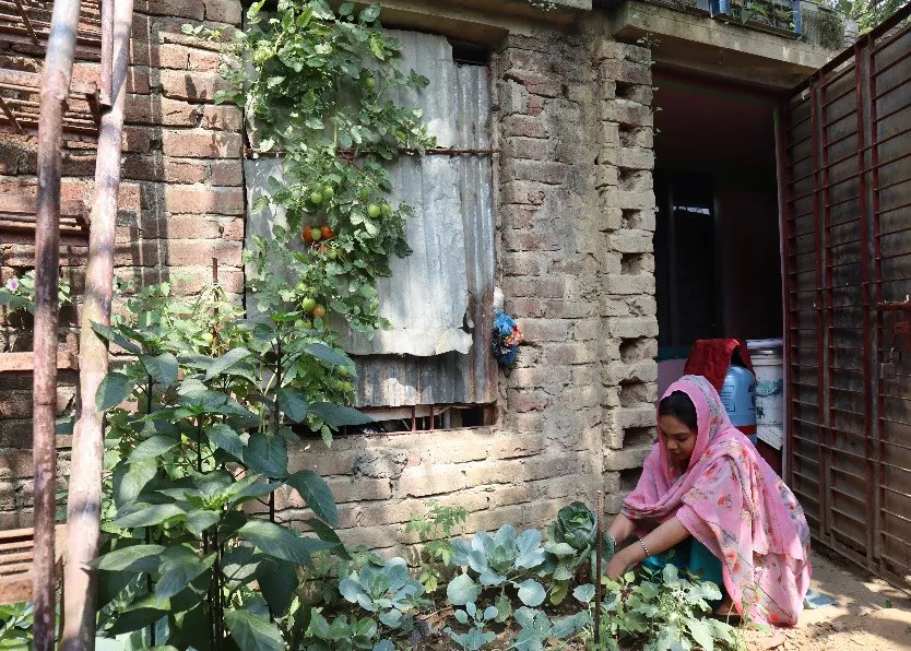 Cultivating Change: Sadiya Akter Bristi’s Journey from Flowers to Nutrition Empowerment in Bagh Ghona