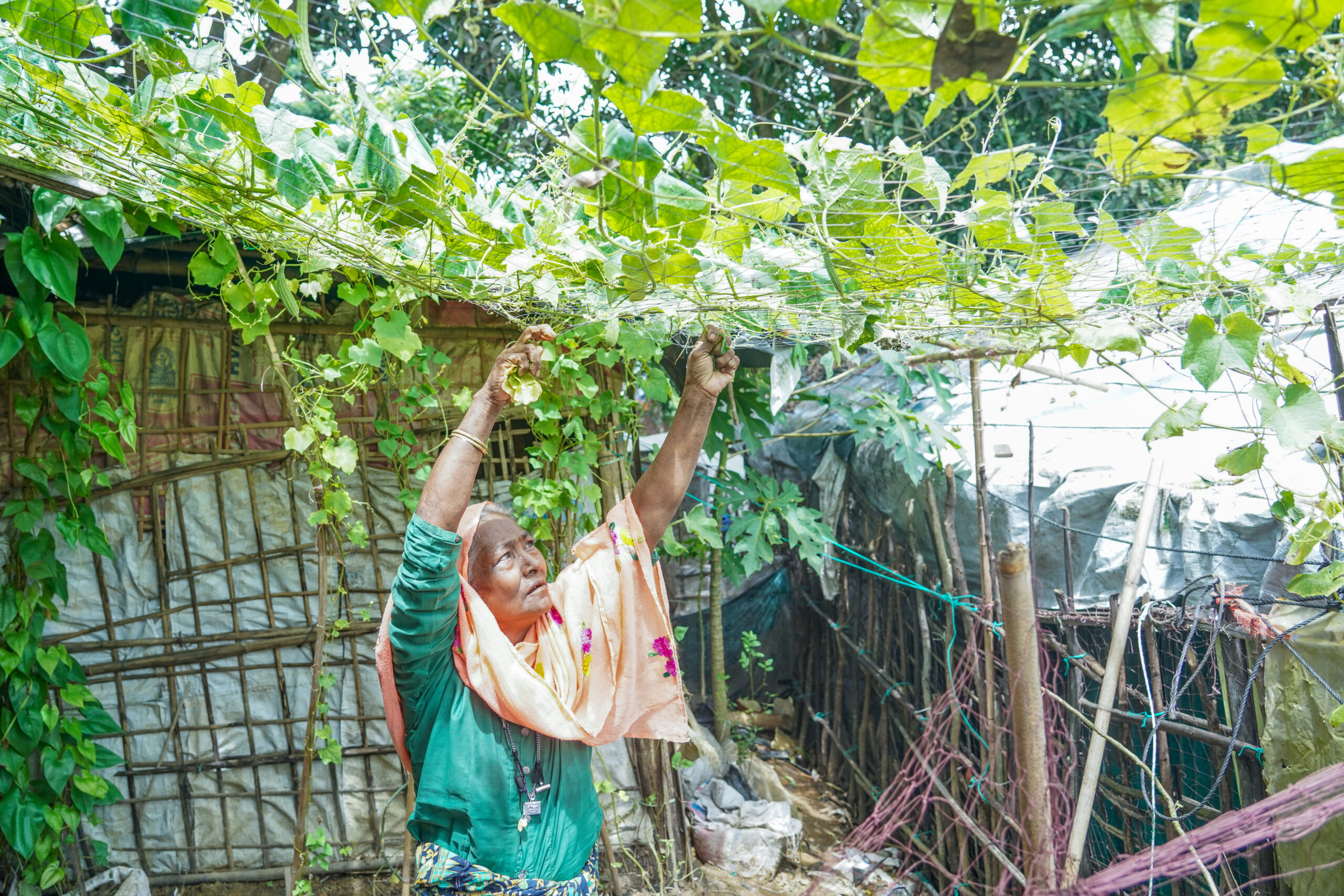 Women-Led Green Resilience in Refugee Camps