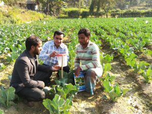 KGF Food Security