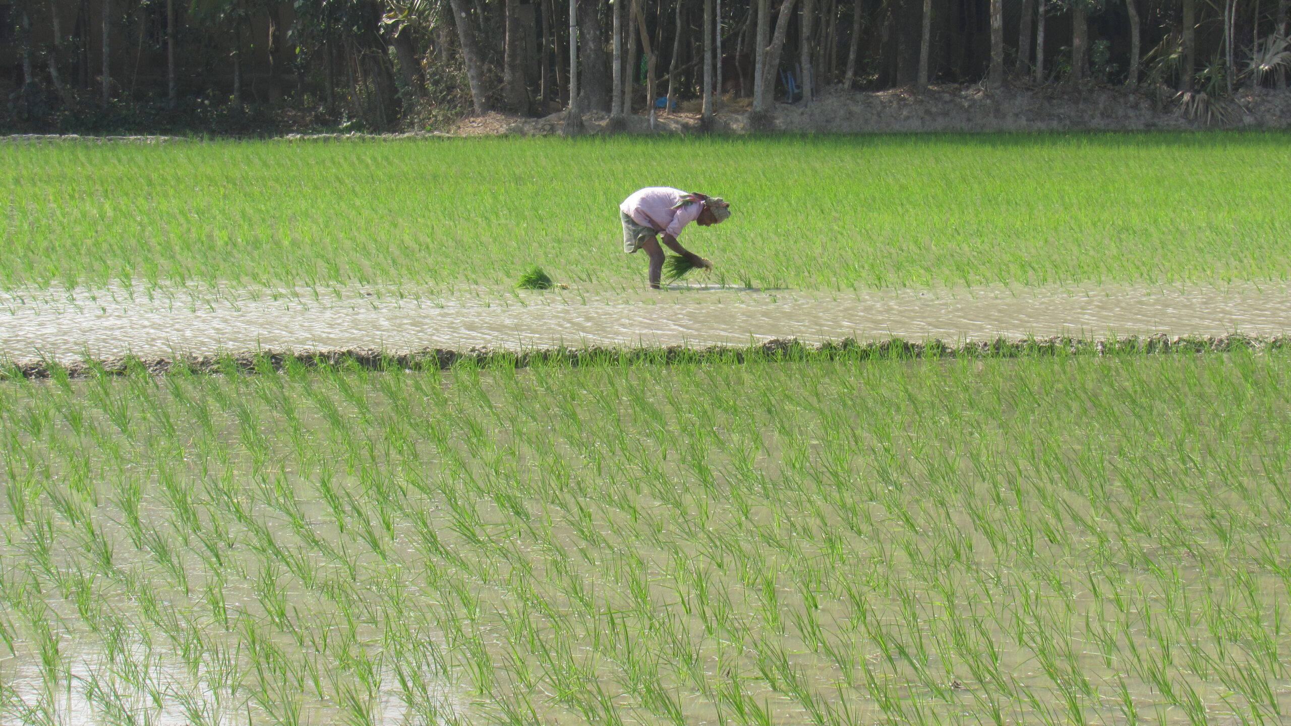 Empowering Farmers Through Sustainable Agriculture